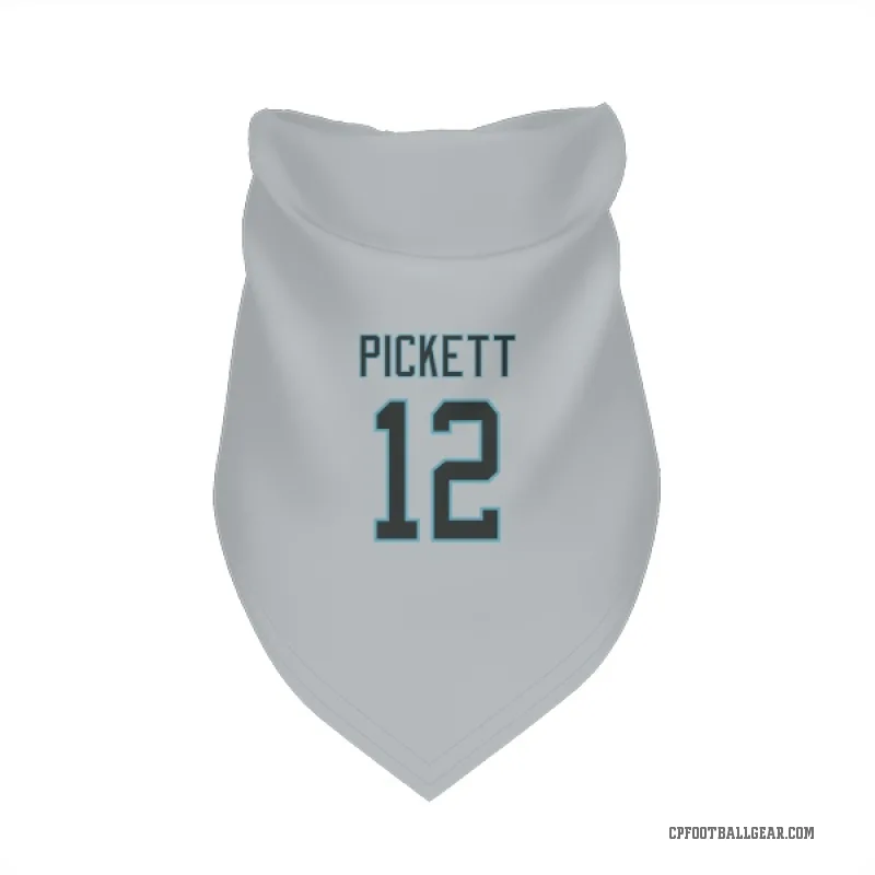Kenny Pickett  Carolina Panthers   Silver Cat & Dog Pet Bandana
