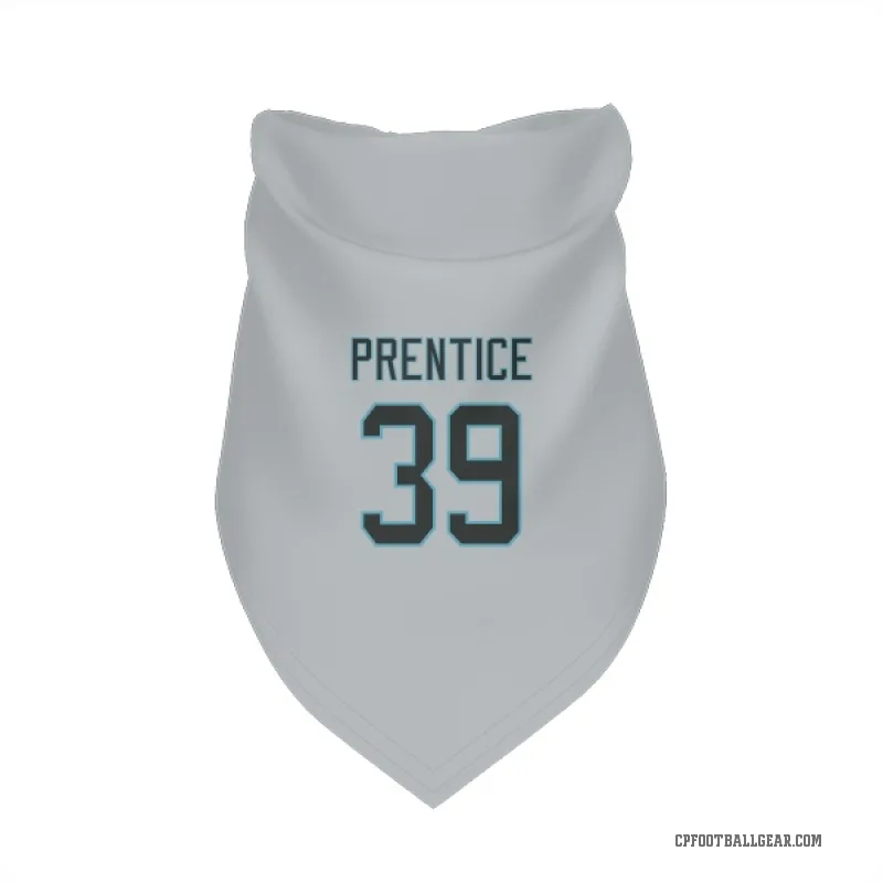 Kobe Prentice  Carolina Panthers   Silver Cat & Dog Pet Bandana